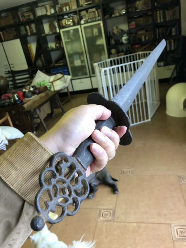 Disc Guard Cutting Jian — Realizzato da LK Chen